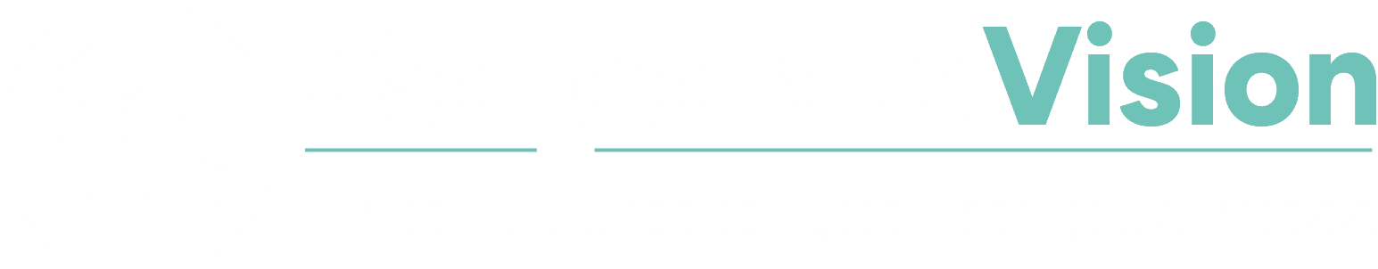 Corporate Vision